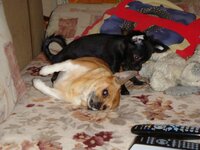 DSC04554.jpg