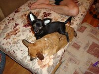 DSC04572.jpg