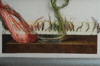 DSCN2461.jpg