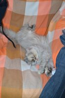 DSC_0270.jpg