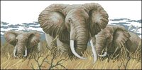 Dimensions-Elephants.jpg