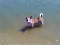 IMAG0205.jpg