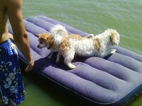 IMAG0207.jpg