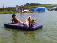 IMAG0214.jpg