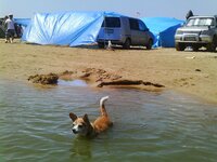 IMAG0222.jpg