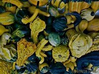 IMAGE_00007.jpg