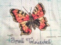 IMG0511A.jpg