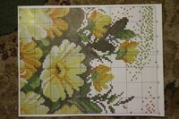 IMG_0146.jpg