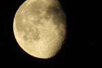IMG_1160.thumb.jpg.79f61a324e58d18a84dd6c4a9ff17c9e.jpg