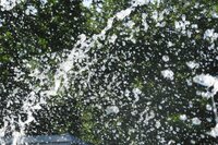 IMG_1508.thumb.jpg.97249c5c6736f1d4c0d4afcfca39fa19.jpg