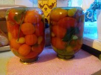 IMG_20150819_193116.jpg