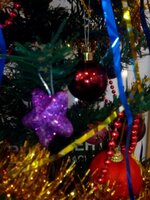 IMG_20151215_125147.jpg
