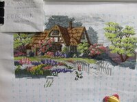 IMG_4796.jpg