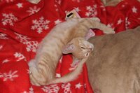 IMG_5836.jpg
