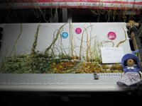 IMG_7329.jpg