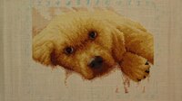 IMG_9248.jpg