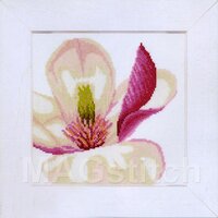 Magnolia-flower-Lanarte-35110.jpg