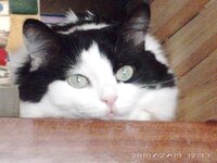 PICT0350.jpg