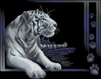 Panna-Whitetiger.jpg