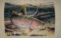 Rainbow_Trout_-_Howard_D-522x333.jpg