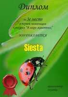 diplom13.jpg