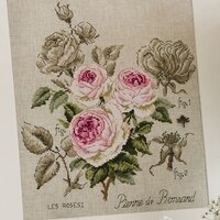 etude-a-la-rose-pierre-de-ronsard-aida-maxi-grille-a-broder-au-point-de-croix.jpg