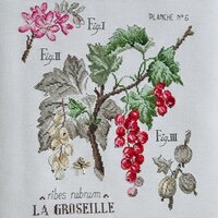 etude-aux-groseilles-lin-maxi-grille-a-broder-au-point-de-croix.jpg
