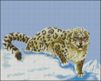 leop.jpg