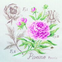 lin-etude-a-la-pivoine-maxi-grille-a-broder-au-point-de-croix.jpg