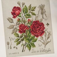 lin-etude-a-la-rose-duc-de-wellington-maxi-grille-a-broder-au-point-de-croix.jpg