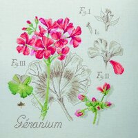 lin-etude-au-geranium-maxi-grille-a-broder-au-point-de-croix.jpg