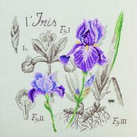 lino_etude_a_l_iris.thumb.jpg.1b2c2d3efb3c332616c3f12f19c4cc66.jpg