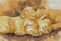 sleeping_lions.jpg