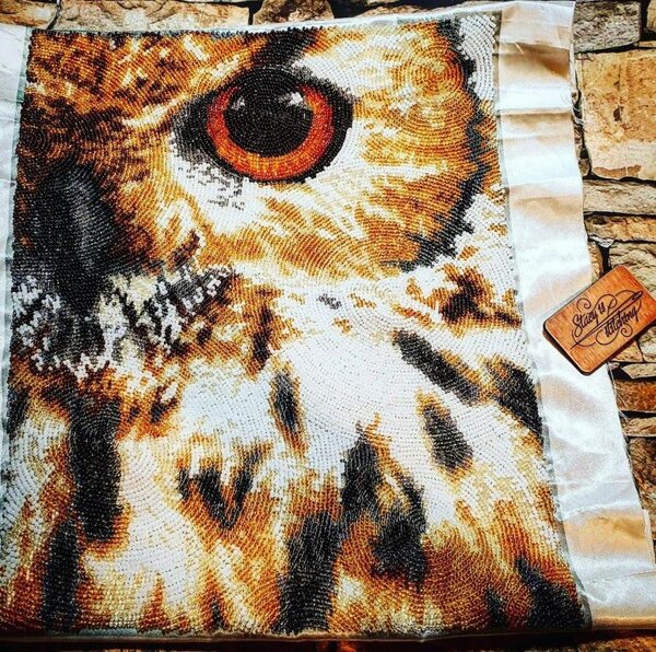 2020.09 Око совы от Butterfly