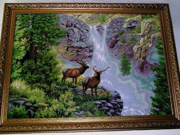 46520712 715623585476593 3459481691754594304 o