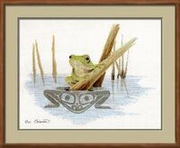 sue_coleman_the_frog_142.jpg