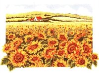 sunflowers_.jpg
