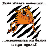 tigr_polosa.jpg