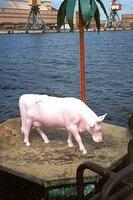 ventspils_cow_island.jpg