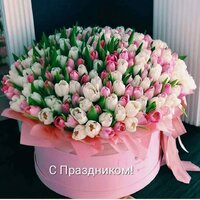 изображение_viber_2021-03-08_12-48-29.jpg