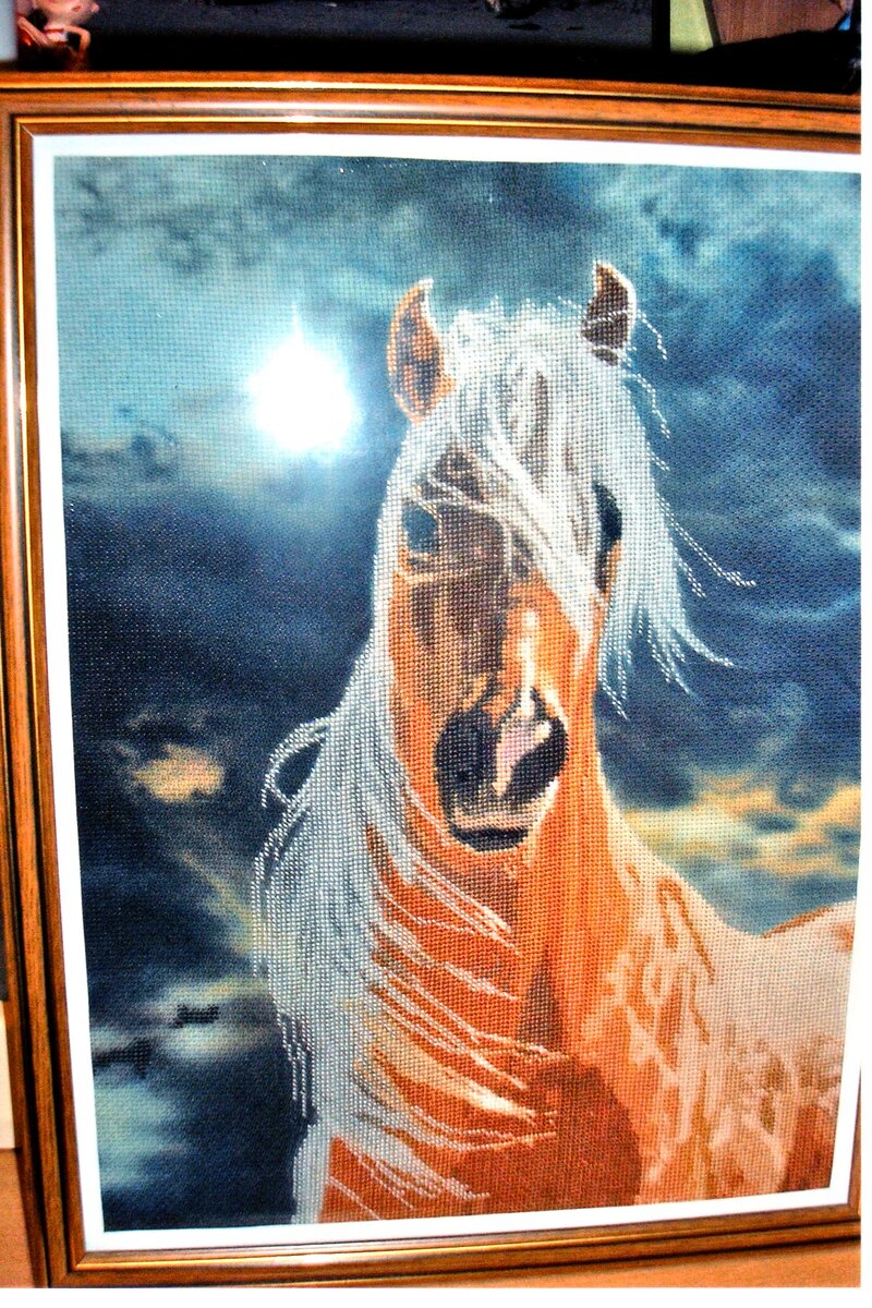 Лошадь,вышивака по рисунку на канве (29х37,5 см).jpg
