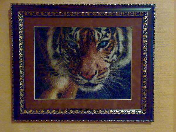 Голубоглазый тигр (31х24 см).jpg