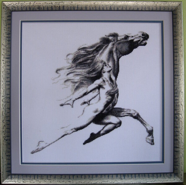 33х32см,210х211 крестиков,за 11 дней.JPG