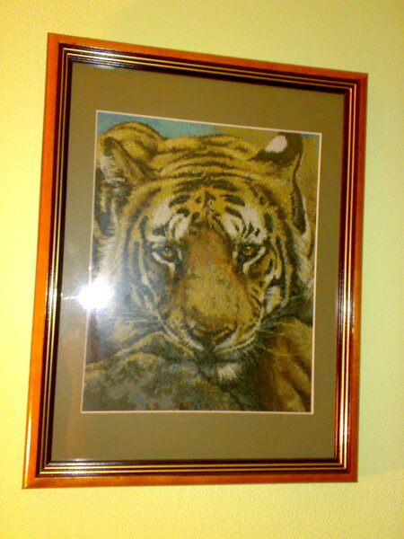 Задумчивый тигр (30х24 см).jpg