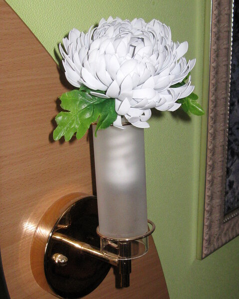 Хризантема белая (16).JPG